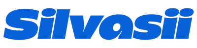 Logotipo da loja Silvassi